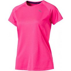 Koszulki sportowe damskie: Puma Koszulka Sportowa Speed Tee W Knockout Pink Heather Xs