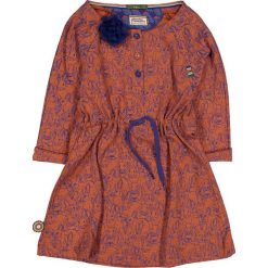 Sukienka "Pink Rabbits" w kolorze pomarańczowym. Brązowe sukienki dziewczęce 4FunkyFlavours Kids, z aplikacjami. W wyprzedaży za 122.95 zł.