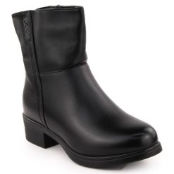 Botki damskie ocieplane czarne Filo Donna Z24-39. Czarne botki damskie ze skóry ekologicznej, bez obcasa, bez zapięcia. Za 253.58 zł.