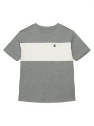 Calvin Klein Jeans T-Shirt LVCKTJA41B Szary Regular Fit. Szare t-shirty i koszulki chłopięce Calvin Klein Jeans, bez wzorów, z bawełny, bez kołnierzyka, bez ramiączek. Za 149.99 zł.