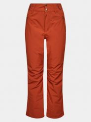 Protest Spodnie narciarskie Cinnamon P4693100 Brązowy Regular Fit. Brązowe spodnie sportowe damskie Protest, xs, bez wzorów, z syntetyku, narciarskie. Za 419.99 zł.