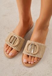 Beżowe Plecione Klapki na Płaskiej Podeszwie Zdobione Metaliczną Aplikacją Rhelana. Brązowe klapki damskie Renee, z aplikacjami, bez obcasa, na płaskiej podeszwie, bez zapięcia. Za 79.99 zł.