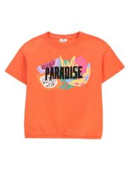 Coccodrillo T-Shirt WC5143202TGJ Pomarańczowy Regular Fit. Brązowe koszulki i t-shirty dziewczęce COCCODRILLO, bez wzorów, z bawełny, bez kołnierzyka, bez ramiączek. Za 29.99 zł.