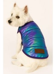 Paws&Whiskers Bluza w kolorze niebiesko-fioletowym dla psa rozmiar: L. Niebieskie bluzy damskie Paws&Whiskers, l, bez wzorów, bez kaptura. Za 156.98 zł.