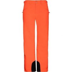 Spodnie narciarskie dla kobiet Protest Kensington. Brązowe spodnie sportowe damskie Protest, na zimę, bez wzorów, narciarskie. Za 504.50 zł.