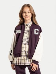 Coccodrillo Spodnie dresowe ZC4120103AGJ Fioletowy Regular Fit. Fioletowe spodnie dresowe dziewczęce COCCODRILLO, bez wzorów, z bawełny. Za 59.99 zł.