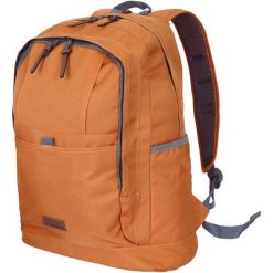 Solidny plecak Icepeak Gloster na przygody na świeżym powietrzu. Fioletowe plecaki Icepeak, bez wzorów. Za 157.99 zł.