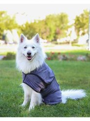 Paws&Whiskers Szlafrok w kolorze szarym dla psa rozmiar: M. Szare szlafroki damskie Paws&Whiskers, bez wzorów, z materiału, bez kaptura. Za 169.99 zł.