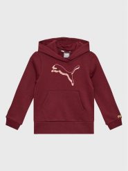 Puma Bluza Alpha 670226 Bordowy Regular Fit. Czerwone bluzy dziewczęce Puma, bez wzorów, z bawełny, bez ramiączek, bez kaptura. Za 99.99 zł.
