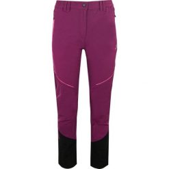 Spodnie damskie ATHL. DPT Katana Dark Purple rozmiar 40. Czarne spodnie dresowe damskie YOA, bez wzorów. Za 297.99 zł.