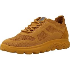 Buty GEOX D SPHERICA Żółty. Żółte obuwie trekkingowe damskie Geox, ze skóry, bez zapięcia. Za 257.99 zł.