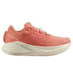 Buty do biegania damskie Salomon Aero Glide 3. Brązowe obuwie sportowe damskie Salomon, z materiału, bez zapięcia, do biegania. Za 659.99 zł.