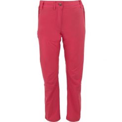 Nordblanc damskie spodnie outdoor różowe roz. 38. Czerwone spodnie dresowe damskie NORDICA, bez wzorów. Za 245.99 zł.