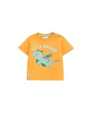 Coccodrillo T-Shirt WC5143202DBN Pomarańczowy Regular Fit. Brązowe t-shirty i koszulki chłopięce COCCODRILLO, bez wzorów, z bawełny, bez kołnierzyka, bez ramiączek. Za 29.99 zł.