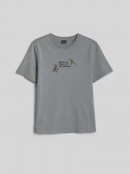 4F T-shirt loose z nadrukiem damski - szary S. Szare t-shirty damskie 4F, m, bez wzorów, z bawełny, bez kołnierzyka. Za 79.99 zł.