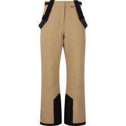 Spodnie narciarskie damskie Whistler Drizzle W-PRO 10000. Brązowe spodnie sportowe damskie WHISTLER, na zimę, bez wzorów, narciarskie. Za 319.99 zł.