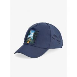 Czapka z daszkiem Crazy Cap Bro - van. Niebieskie czapki z daszkiem damskie Crazy, bez wzorów. Za 209.99 zł.