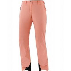 Spodnie zimowe na narty i snowboard damskie Salomon THE BRILLIANT. Brązowe spodnie sportowe damskie Salomon, na zimę, m, bez wzorów, z elastanu, narciarskie. Za 339.00 zł.