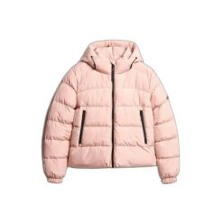 Damska kurtka z kapturem Superdry. Czerwone kurtki sportowe damskie Superdry, na zimę, xs, bez wzorów, z puchu, z kapturem. Za 552.90 zł.