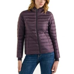 Kurtka Jott Model Cha Kolor Fioletowy. Fioletowe kurtki damskie jott, bez wzorów, z tkaniny, bez kaptura. Za 382.99 zł.