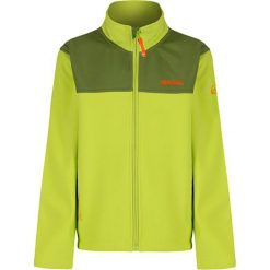 Bluza w kolorze limonkowym. Zielone bluzy chłopięce Regatta, Dare 2b. W wyprzedaży za 54.95 zł.