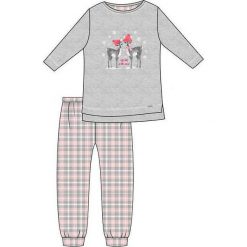 Piżama Kids Girl 780/93 Winter Day szara r. 128. Piżamy dziewczęce marki FOUGANZA. Za 52.82 zł.