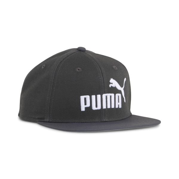 Czapka z płaskim daszkiem z logo logo No. 1 ESS PUMA. Szare czapki z daszkiem damskie Puma, bez wzorów. Za 89.00 zł.
