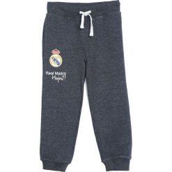Ciemnoszare Spodnie Dresowe Bast Chance. Spodnie dresowe chłopięce marki 4F. Za 49.99 zł.