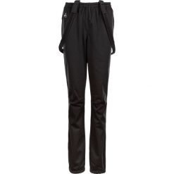 Spodnie narciarskie Endurance Zora XCS. Czarne spodnie sportowe damskie Endurance, na zimę, bez wzorów, z poliesteru, narciarskie. Za 249.99 zł.