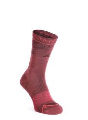 Skarpety merino damskie Ortovox Alpine Pro Comp Mid Socks. Czerwone skarpetki damskie ORTOVOX, bez wzorów, z materiału. Za 141.79 zł.