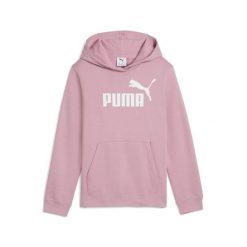 Młodzieżowa polarowa bluza z kapturem ESS z logo No. 1 PUMA Poised Pink. Czerwona bluzy damskie Puma, m, bez wzorów, z polaru, z kapturem. Za 159.00 zł.
