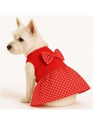 Paws&Whiskers Bluza w kolorze czerwonym dla psa rozmiar: S. Czerwone bluzy damskie Paws&Whiskers, s, bez wzorów, bez kaptura. Za 165.71 zł.