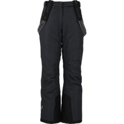 Spodnie narciarskie damskie Whistler Fairway W-PRO 10000. Niebieskie spodnie sportowe damskie WHISTLER, na zimę, s, bez wzorów, z materiału, narciarskie. Za 224.99 zł.