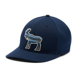 COLUMBIA Czapka z daszkiem Lost Lager 110 Snap Back colegiate navy. Niebieskie czapki z daszkiem damskie Columbia, na lato, bez wzorów. Za 73.40 zł.