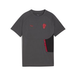 Młodzieżowa koszulka AC Milan PUMATECH z kieszenią PUMA. Czerwona bluzki damskie Puma, m, bez wzorów, bez kołnierzyka, bez ramiączek. Za 179.00 zł.