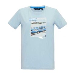 Koszulka Damska Filandra VX Scenery T-shirt. Niebieskie t-shirty damskie Regatta, bez wzorów, bez kołnierzyka. Za 67.99 zł.