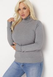 Szary Sweter z Golfem Sazerna w Składzie Wiskoza i Modal. Szare golfy damskie Born2be, l, z dzianiny, bez kołnierzyka. Za 59.99 zł.