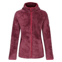 Bluza Termoaktywna Damska Torrek Mountain Pro Midlayer. Fioletowe bluzy damskie Dare 2b, xl, bez wzorów, bez kaptura. Za 204.99 zł.