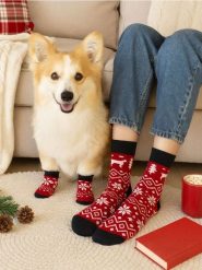 Zestaw: Skarpetki dla psa i właściciela - czerwony. Czerwone skarpetki damskie Sinsay, bez wzorów. Za 15.99 zł.