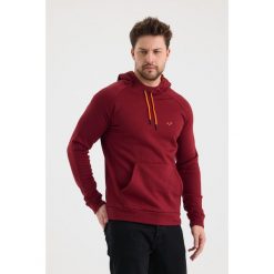 Bluza turystyczna dla dorosłych Woolona Scout z kapturem 100% Merino. Szare bluzy damskie WOOLONA, l, bez wzorów, z kapturem. W wyprzedaży za 540.00 zł.