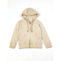 Bluza z bawełna z kaptur na co dzień na siłownię. Szare bluzy damskie LEONE 1947 APPAREL, bez wzorów, z bawełny, bez kaptura. W wyprzedaży za 101.80 zł.