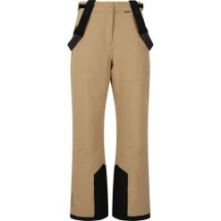 Spodnie narciarskie dla kobiet Whistler Drizzle Pro. Szare spodnie sportowe damskie WHISTLER, na zimę, bez wzorów, narciarskie. Za 319.99 zł.