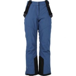 Spodnie narciarskie damskie Whistler Drizzle W-PRO 10000. Niebieskie spodnie sportowe damskie WHISTLER, na zimę, m, bez wzorów, narciarskie. Za 299.99 zł.