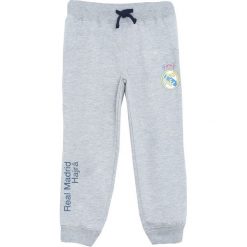 Jasnoszara Spodnie Dresowe I'm Okay. Szare spodnie dresowe chłopięce Born2be, z dresówki. Za 39.99 zł.