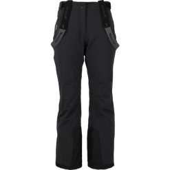 Spodnie narciarskie damskie Whistler Yarra W-PRO 15000. Czarne spodnie sportowe damskie WHISTLER, na zimę, l, bez wzorów, narciarskie. Za 399.99 zł.