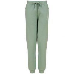 Spodnie Wędkarskie Dresowe Damskie Navitas Womens Joggers Light Green. Zielone spodnie dresowe damskie NAVITAS, xl, bez wzorów, z dresówki. Za 168.99 zł.