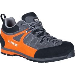 Buty trekkingowe dla dorosłych Alpinus The Ridge Low Pro. Brązowe obuwie trekkingowe damskie Alpinus, bez zapięcia. Za 499.00 zł.
