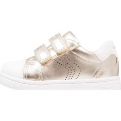 Geox DJROCK GIRL Tenisówki i Trampki gold. Żółte buty sportowe dziewczęce Geox, z materiału. Za 239.00 zł.