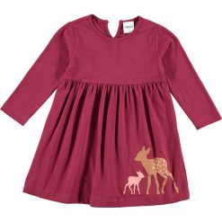 Sukienka w kolorze bordowym. Czerwone sukienki dziewczęce Lamino Fashion, z nadrukiem, z bawełny. W wyprzedaży za 42.95 zł.