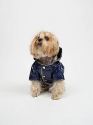 Paws&Whiskers Bluza w kolorze granatowym dla psa rozmiar: XXL. Niebieskie bluzy damskie Paws&Whiskers, xxl, bez wzorów, bez kaptura. Za 86.99 zł.